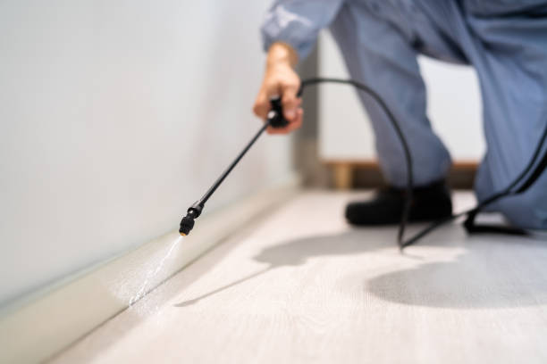 Rodent Entry Point Assessment in Norwalk