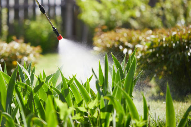 Tamper-Resistant Bait Stations for Rodents in Norwalk