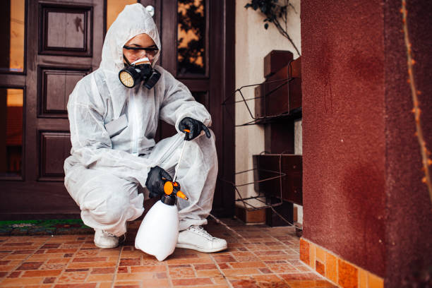 Attic and Crawl Space Rodent Treatment in Norwalk