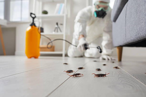 Commercial Rodent Management in Norwalk